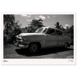 Plymouth Shade - Cuban Classic