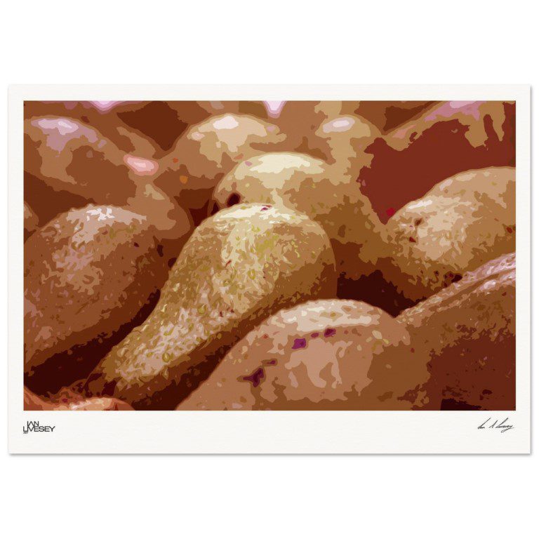 Avocados of Cuba - Stylised re-coloured Edition