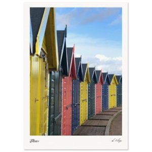 Horizon Huts Dawlish in Line