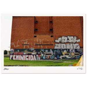 Estado Feminicida  Bogotá Wall of Protest