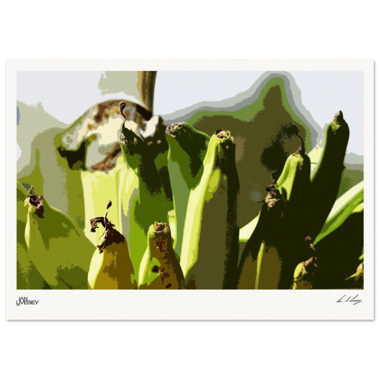 Artisan Abstract Banana Poster Tropical Hills of Cuba Design