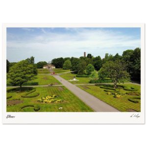 Mesnes Park  Summer Geometry