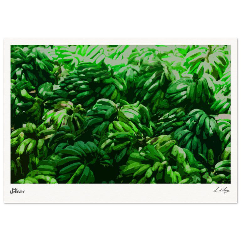 Bananas of Cuba Stylised Edition
