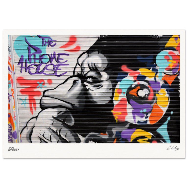 Urban Thinker